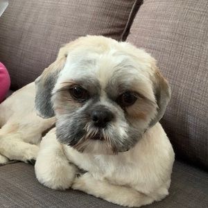 Meet your Posher, Nitin